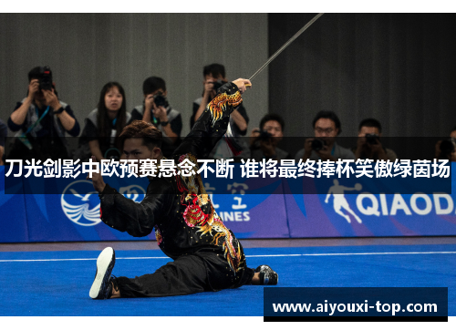 刀光剑影中欧预赛悬念不断 谁将最终捧杯笑傲绿茵场