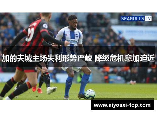 加的夫城主场失利形势严峻 降级危机愈加迫近