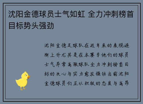 沈阳金德球员士气如虹 全力冲刺榜首目标势头强劲