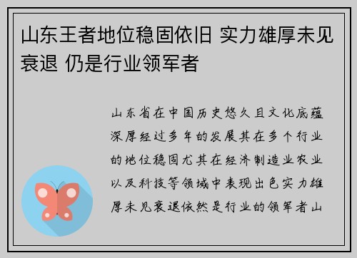 山东王者地位稳固依旧 实力雄厚未见衰退 仍是行业领军者